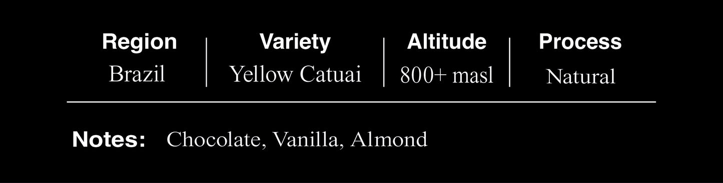 Brazil Yellow Catuai Natural