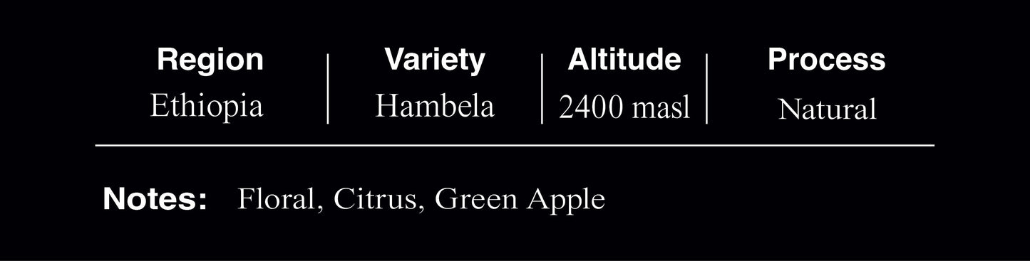 Ethiopia Hambela Natural