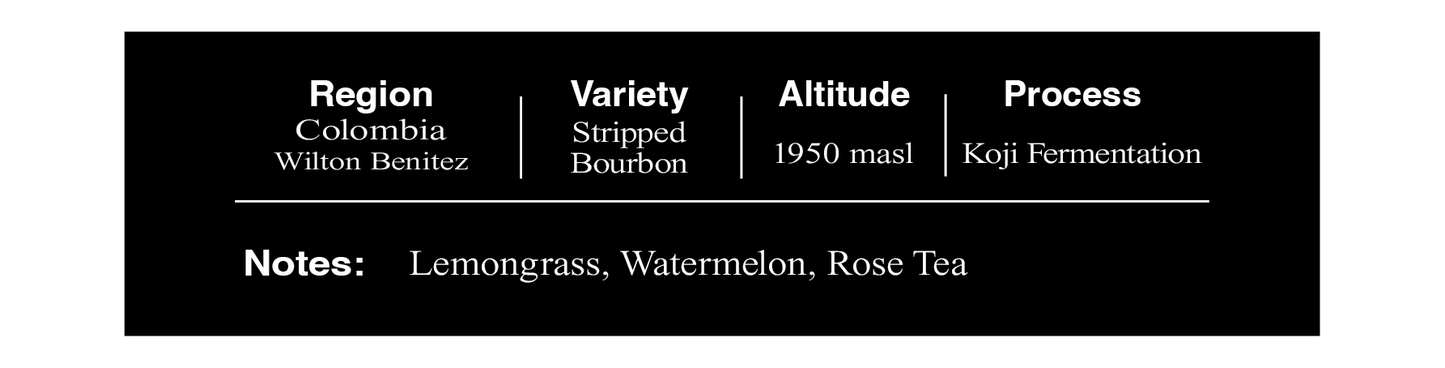 Colombia Wilton Benitez Stripped Bourbon Koji Fermented