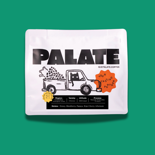 Colombia Antioquia, Urrao Natural Anaerobic Chiroso specialty coffee beans