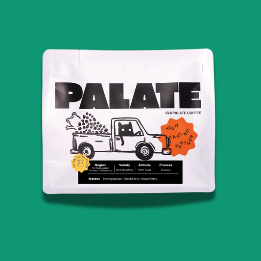 El Salvador Tecapa Natural Red Bourbon specialty coffee beans