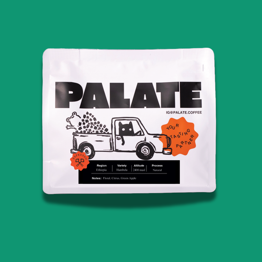 Ethiopia Guji Hambela Natural