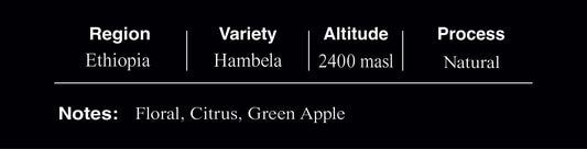 Ethiopia Hambela Natural