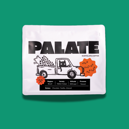 Brazil Yellow Catuai Natural specialty coffee beans from Palate Coffee